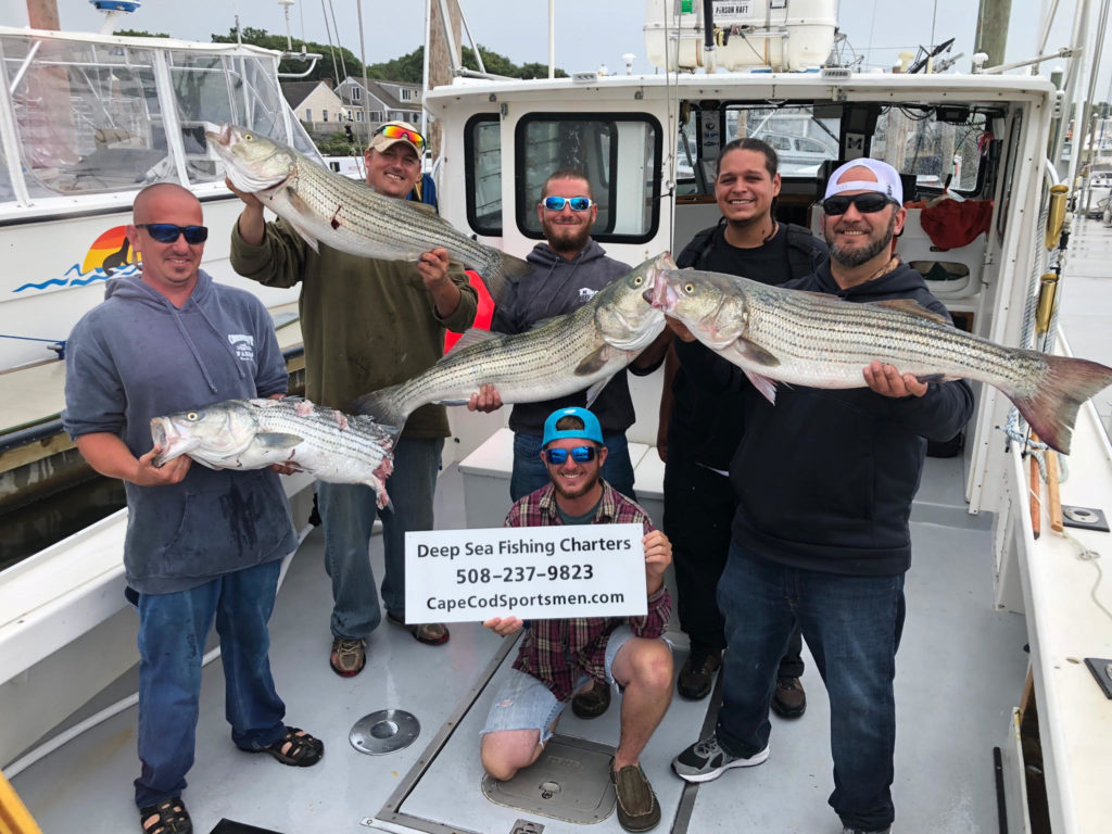 Cape Cod Fishing Charters - deep sea fishing for striped bass