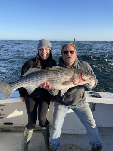 Striped Bass fish caught in Nantucket Sound